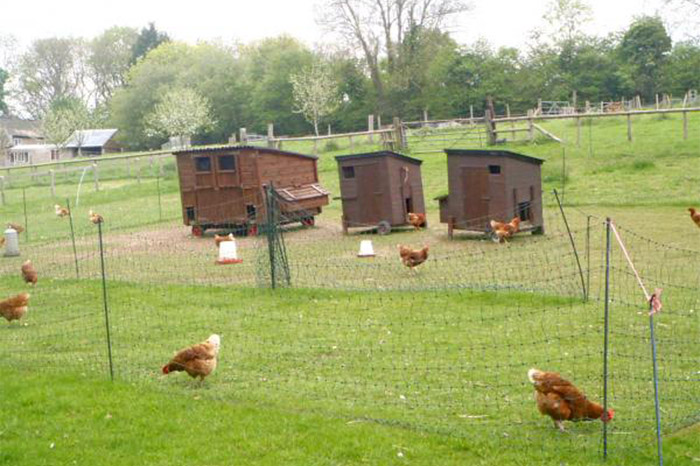 Orchard Trust Chicken House