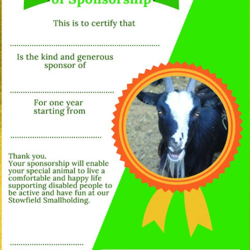Sponsor a Goat The Orchard Trust